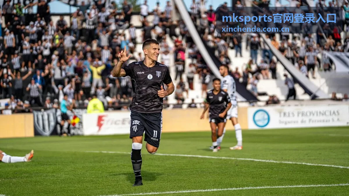mksports官网登录入口账号登录环境检查示意