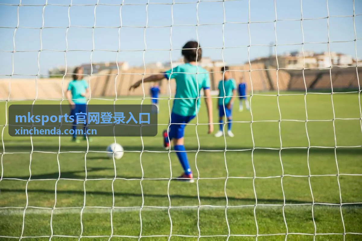 mksports官网登录入口登录后常用操作说明配图